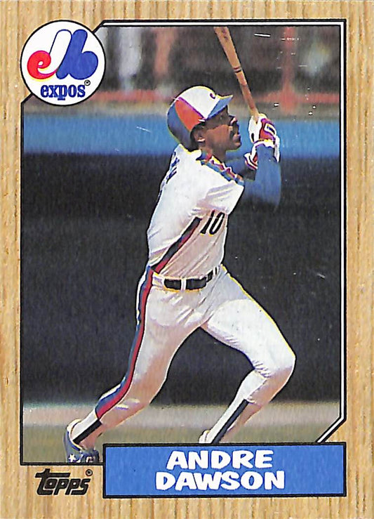 FIINR Baseball Card 1987 Topps Andre Dawson Vintage Baseball Card #345 - Mint Condition